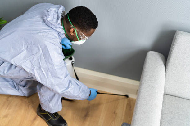 Best Pest Prevention Services  in USA